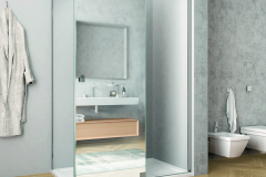 CAPRI20mirror1